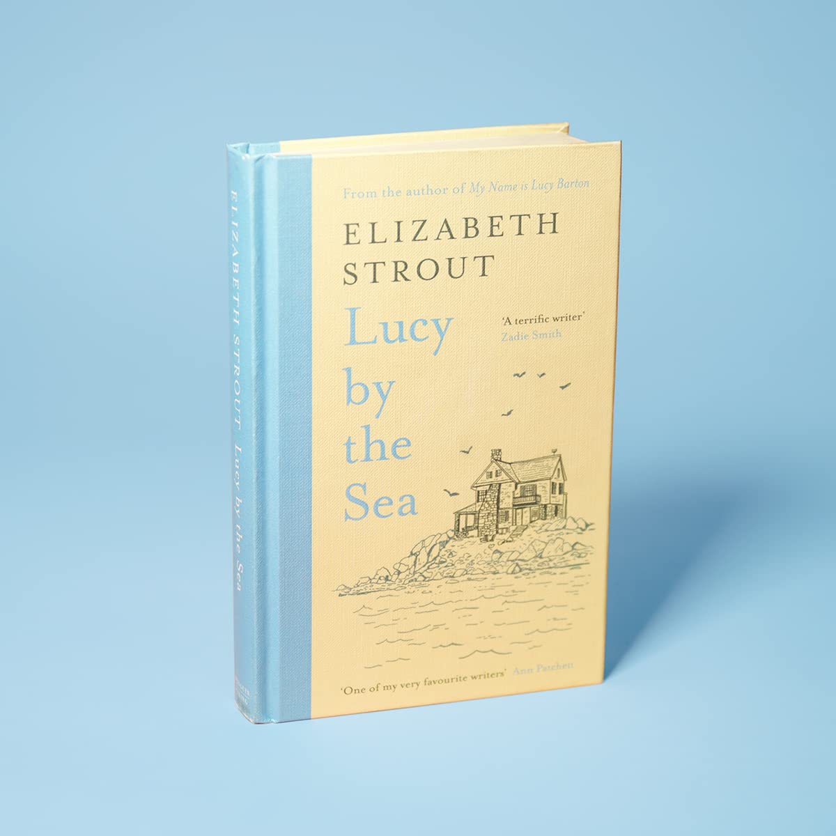 Book Review Lucy By The Sea by Elizabeth Strout